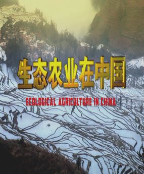 ���B(t��i)�r(n��ng)�I(y��)���Ї�(gu��)