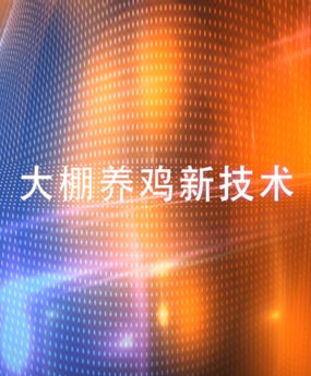 �����B(y��ng)�u�¼��g(sh��)