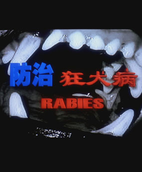 ���ο�Ȯ��