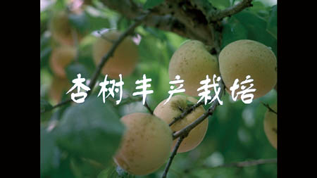 �Ә��S�a(ch��n)����