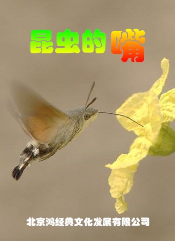 ���x����