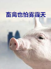 ����Ҳ���F����