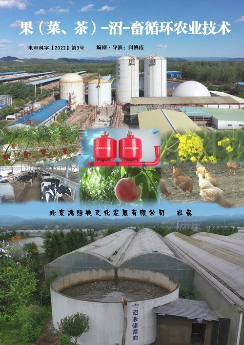 �����ˡ��裩-��-��ѭ..