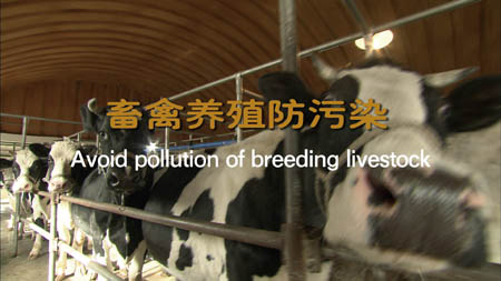 �����B(y��ng)ֳ����Ⱦ