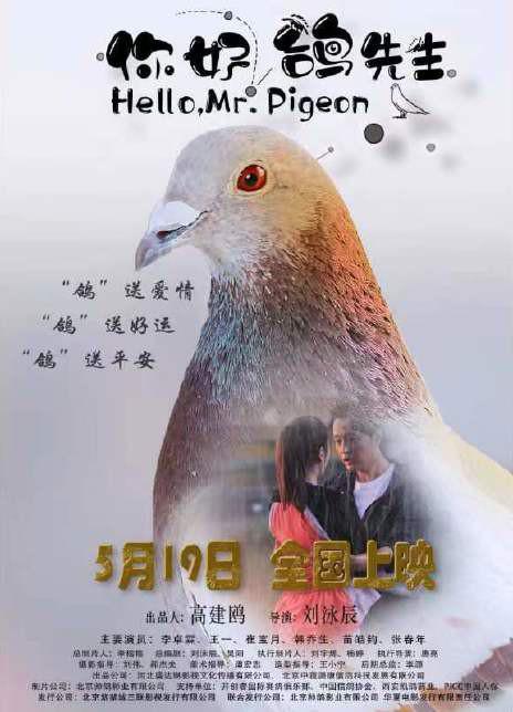 �����������