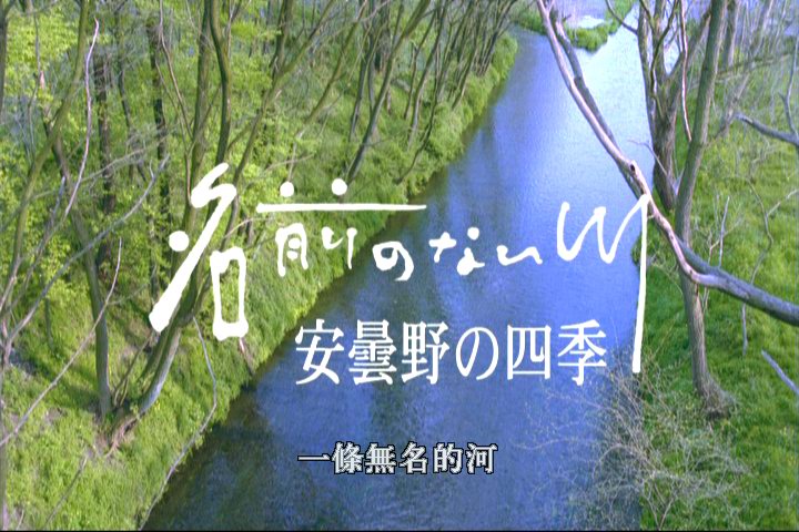 ����Ұ�ļ������޴��..