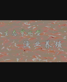 ���B(t��i)��(ji��)ˮ�͝O�I(y��)�B(y��ng)ֳ